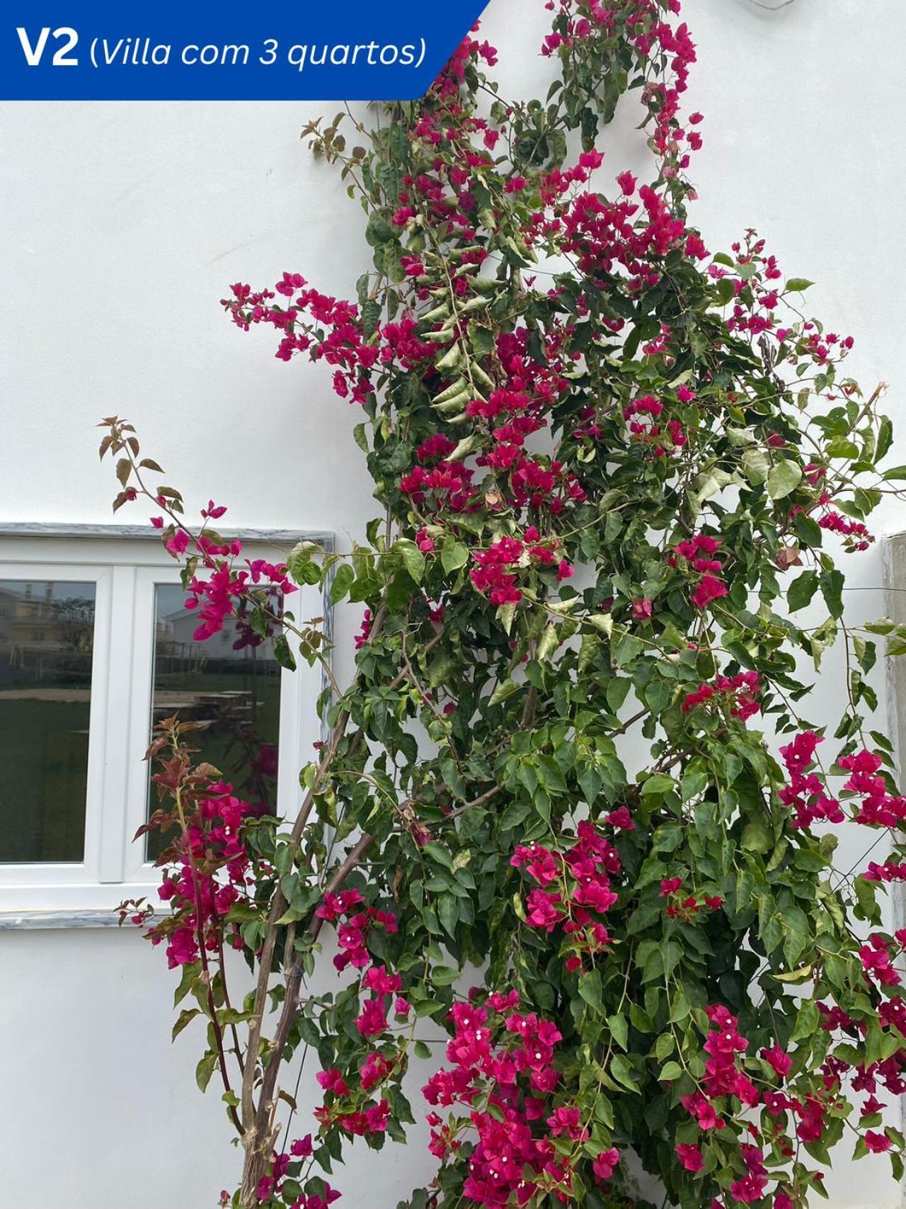 شقة W.H.House اتوغويه ده باليه المظهر الخارجي الصورة
